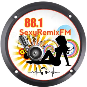 Radio 88.1SRMX