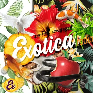 Exotica Radio Online