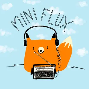Radio Mini Flux