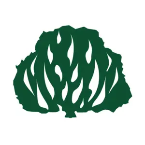 Igreja Presbiteriana do Brasil – IPB2