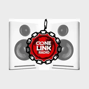Eins LINK RADIO FM