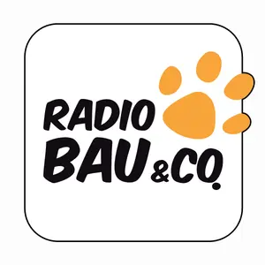 Bau & Co – Radio 105
