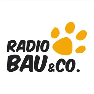 Radio Bau – Radio Monte Carlo