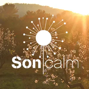 SoniCalm FM