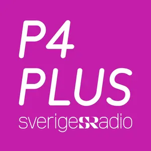 P4 Plus FM