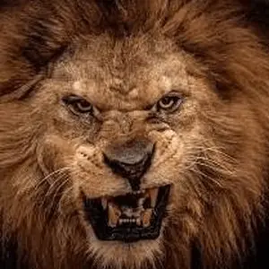 TRUTHWORDRADIO Pushing Back Dunkel With Das Licht Of Die Wahrheit. FM