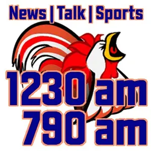WSVG 790 AM Live